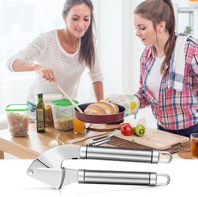Garlic Masher Sayuran Pepper Ginger Squeezer Handheld Penghancur Alat Aksesoris Dapur