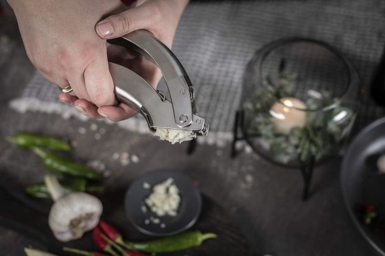 Rasional Baja tahan karat Bawang putih Crush Ginger Grater Gadget dapur Multi Kitchen Grater