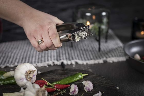 Multi Kitchen Grater Hot Stainless Steel Garlic Press untuk Gadget Dapur Berkelanjutan