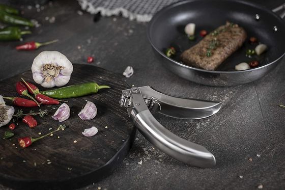 Multi Kitchen Grater Hot Stainless Steel Garlic Press untuk Gadget Dapur Berkelanjutan