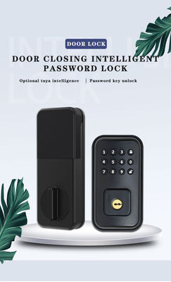 Amankan Pintu Anda dengan Kunci Pintar Digital Berkualitas Baterai dan TTlock Tuya WiFi App