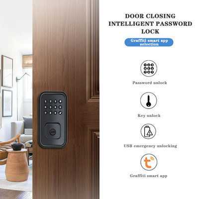 Amankan Pintu Anda dengan Kunci Pintar Digital Berkualitas Baterai dan TTlock Tuya WiFi App